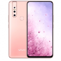 vivo S1