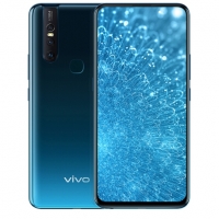 vivo S1