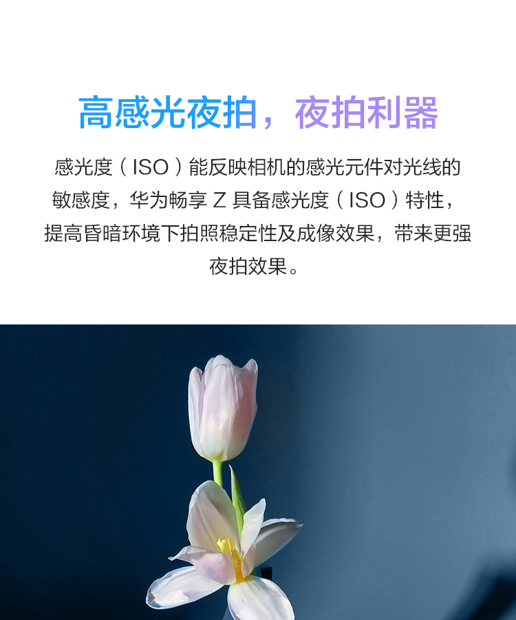 中山手机网 华为(huawei) 华为畅享z 5g手机专卖