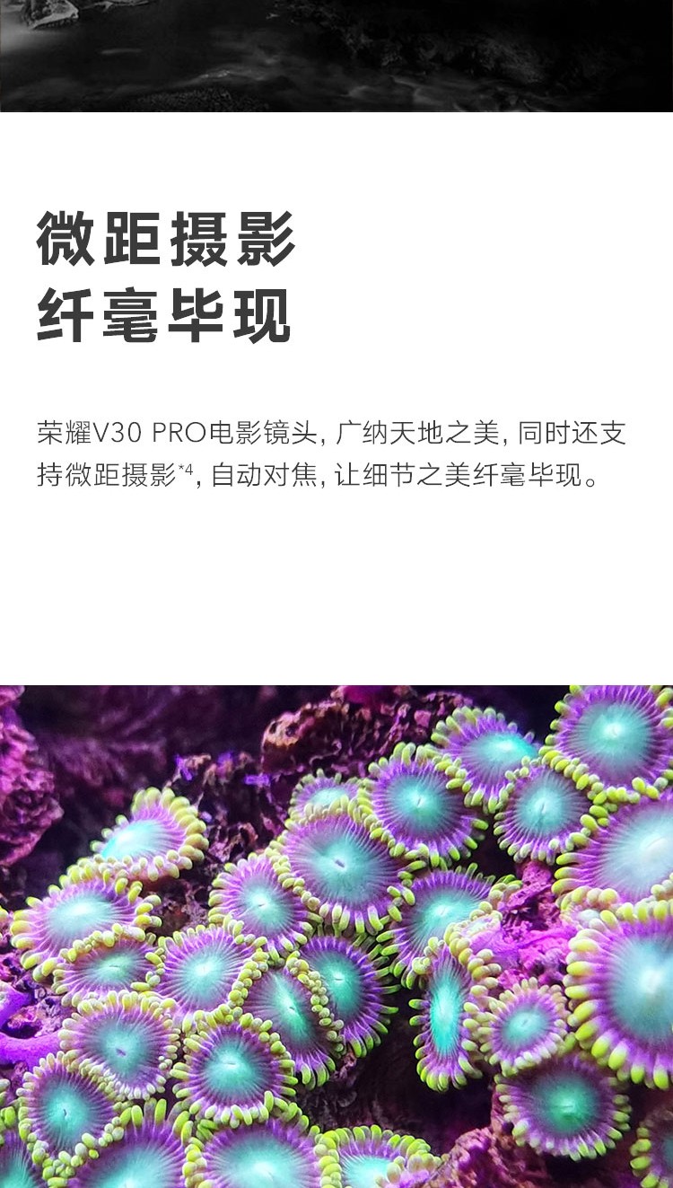 中山手机网 华为(huawei) 华为 荣耀v30pro手机专卖