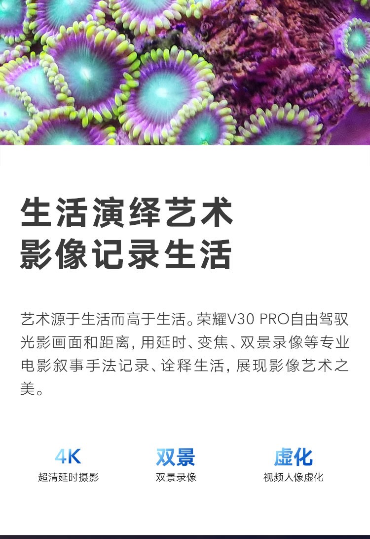 中山手机网 华为(huawei) 华为 荣耀v30pro手机专卖